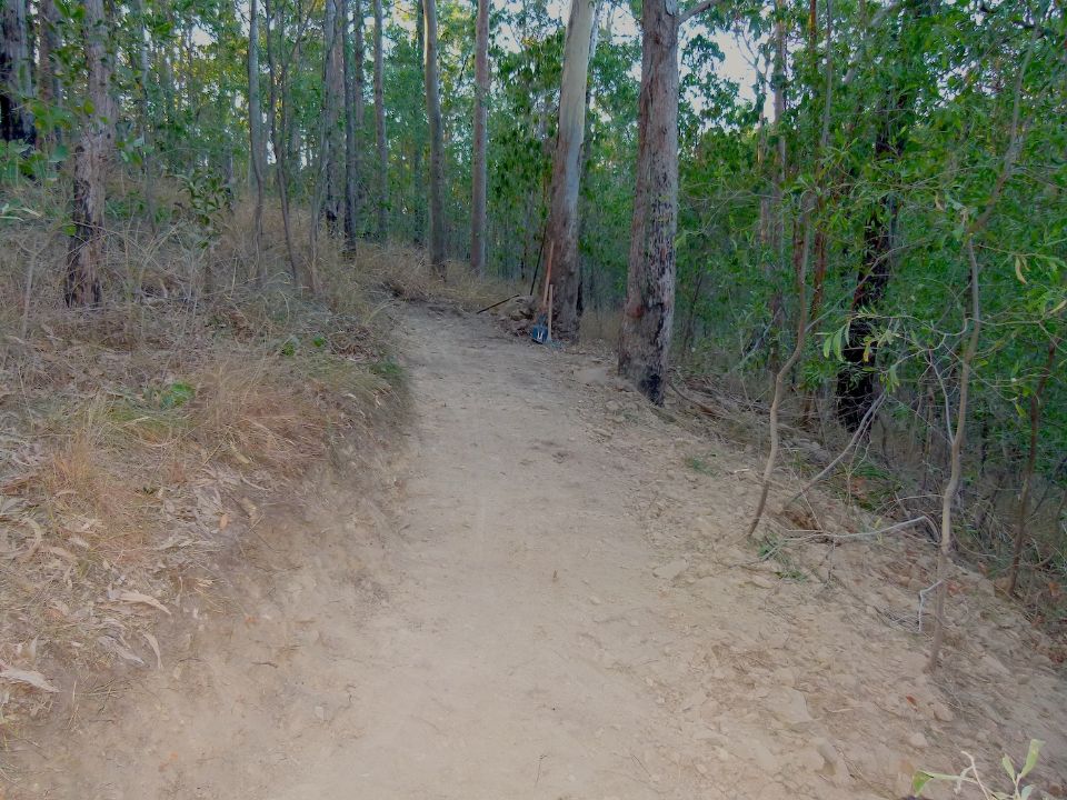 Deeper benching and more backslope nearing a tree at the top of this climb